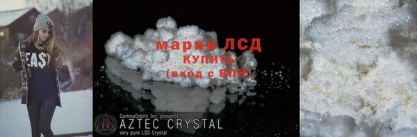 индика Бугульма