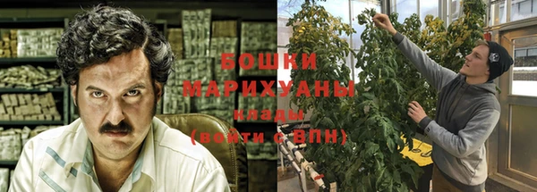 spice Бронницы
