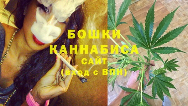 таблы Бородино